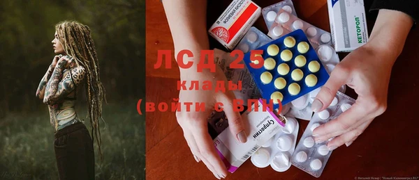 PSILOCYBIN Богданович