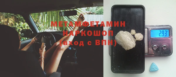PSILOCYBIN Богданович