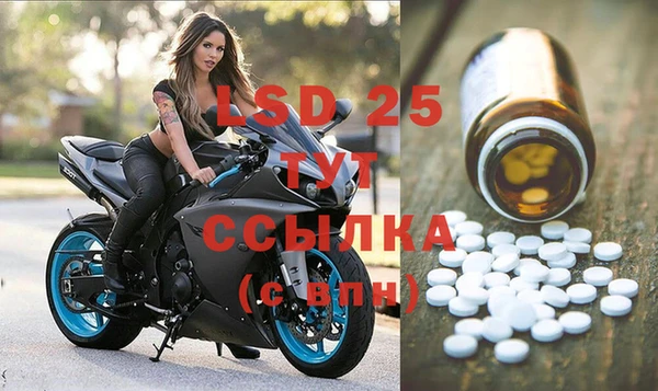PSILOCYBIN Богданович